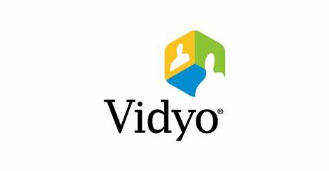Overview of Vidyo (Strengths, Key Achievements, etc.)