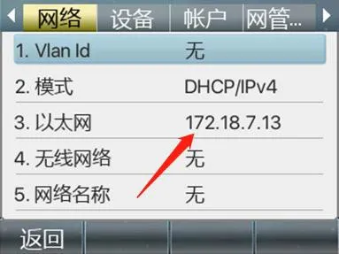 View phone IP address