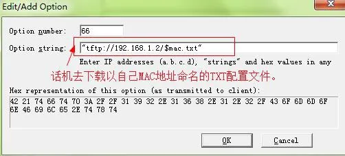 Add new DHCP option